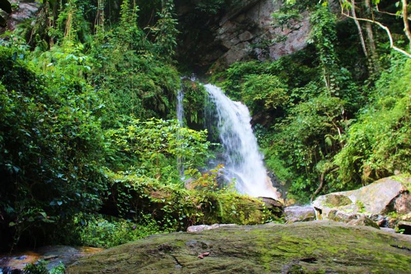 Ikogosi